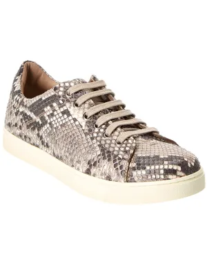Gianvito Rossi Low Top Python Sneaker