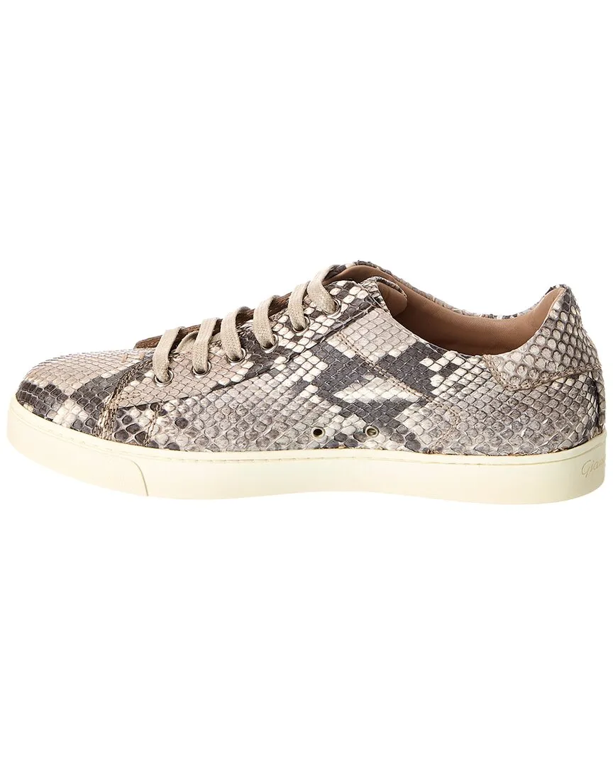 Gianvito Rossi Low Top Python Sneaker