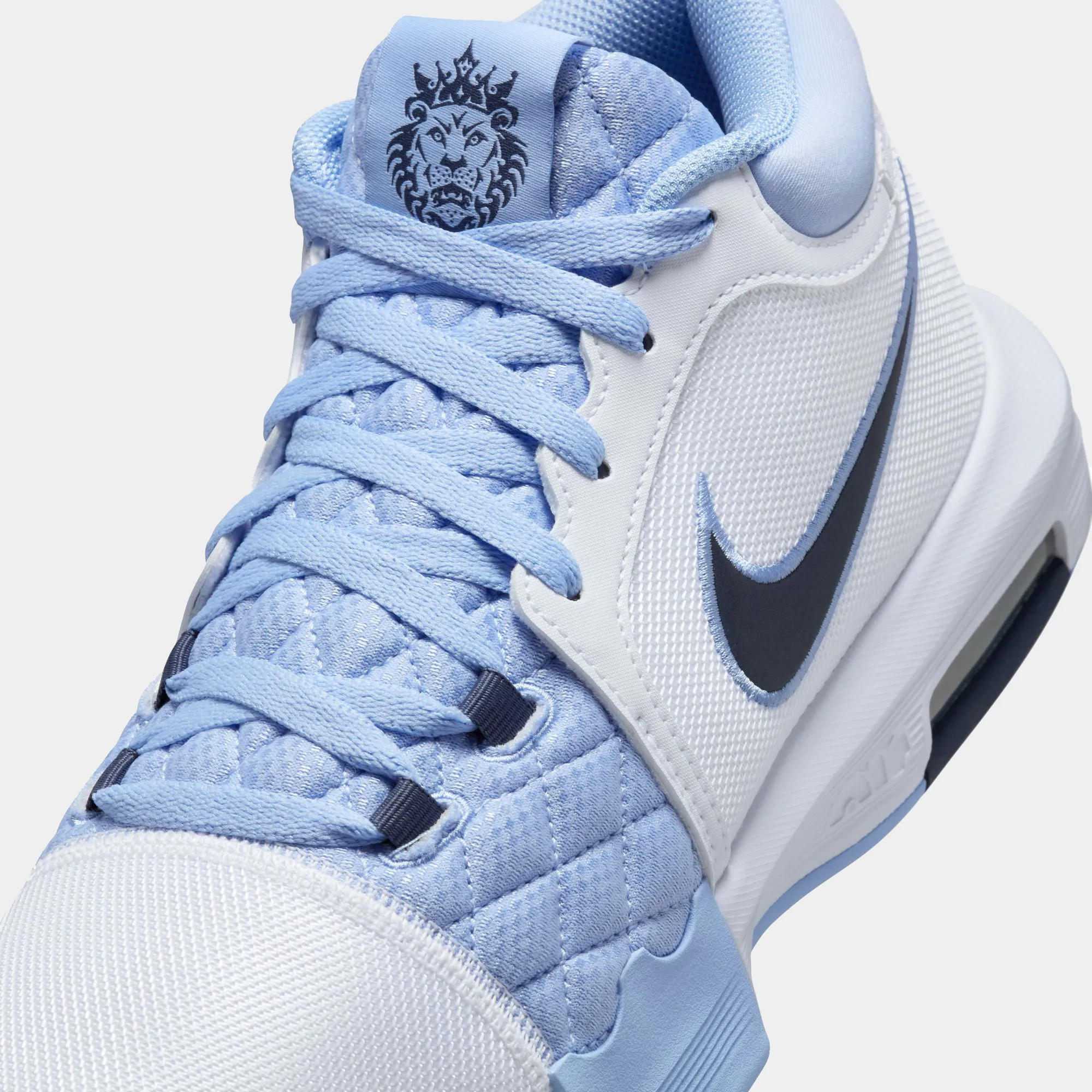 LeBron Witness VIII