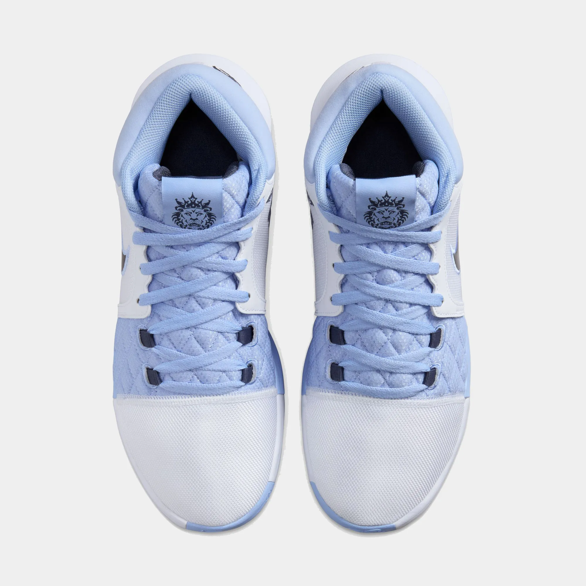 LeBron Witness VIII