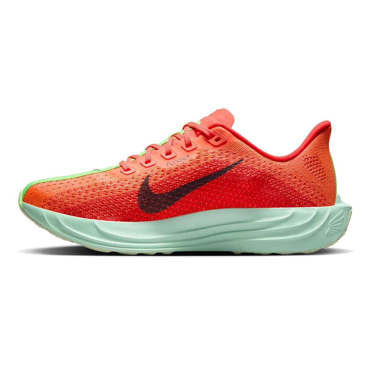 Nike Pegasus Plus