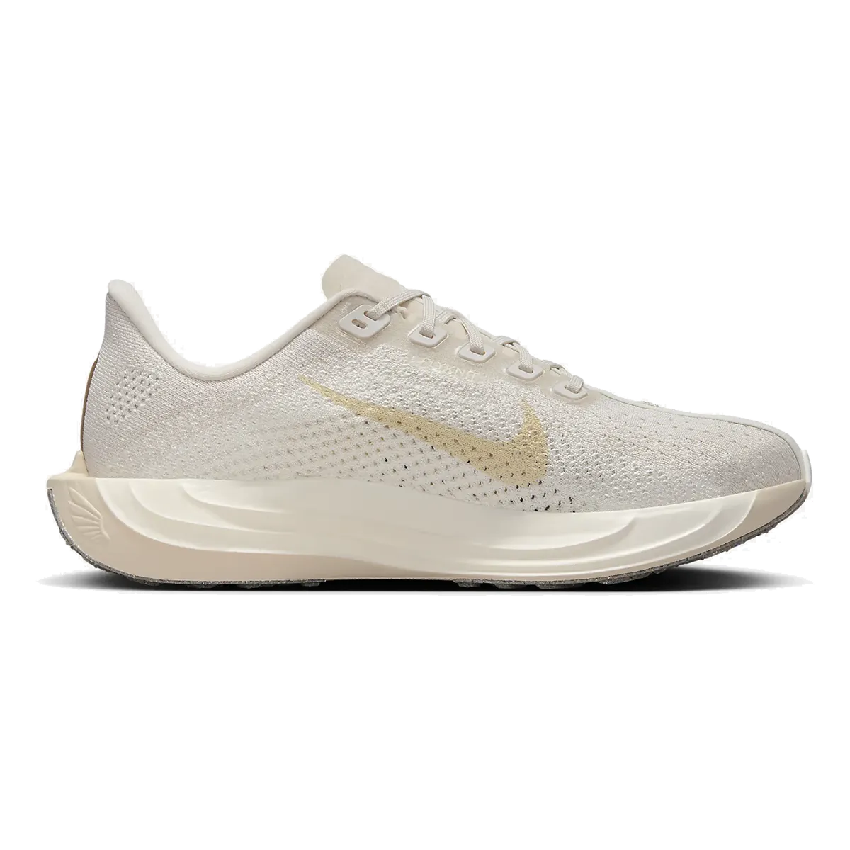 Nike Pegasus Plus